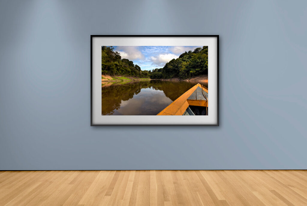 Cuadro de Arte Amazonas – Cuadros y Arte | Entrega en Bogotá y Todo Colombia