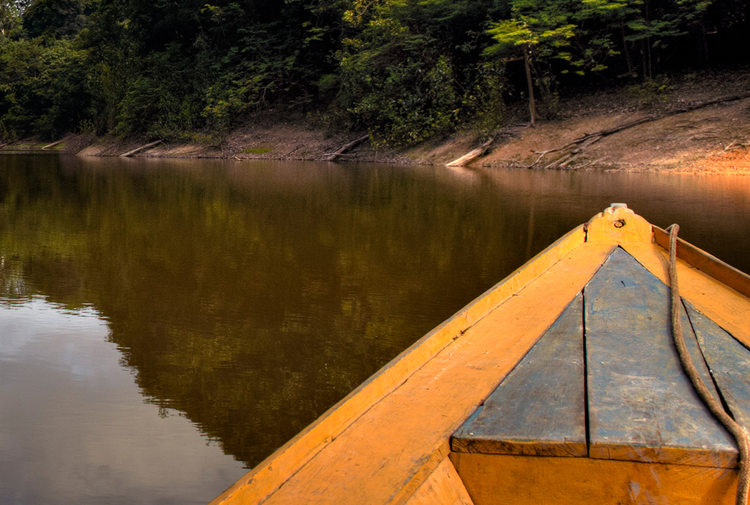 Cuadro de Arte Amazonas – Cuadros y Arte | Entrega en Bogotá y Todo Colombia · imagen 2