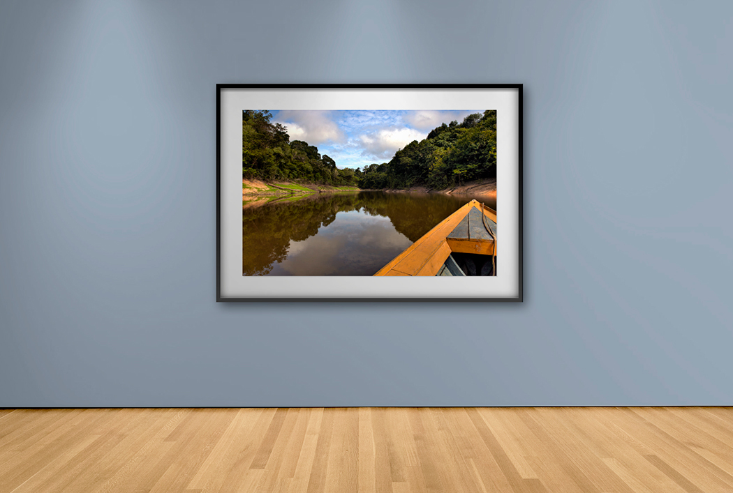 Cuadro de Arte Amazonas – Cuadros y Arte | Entrega en Bogotá y Todo Colombia · imagen 1