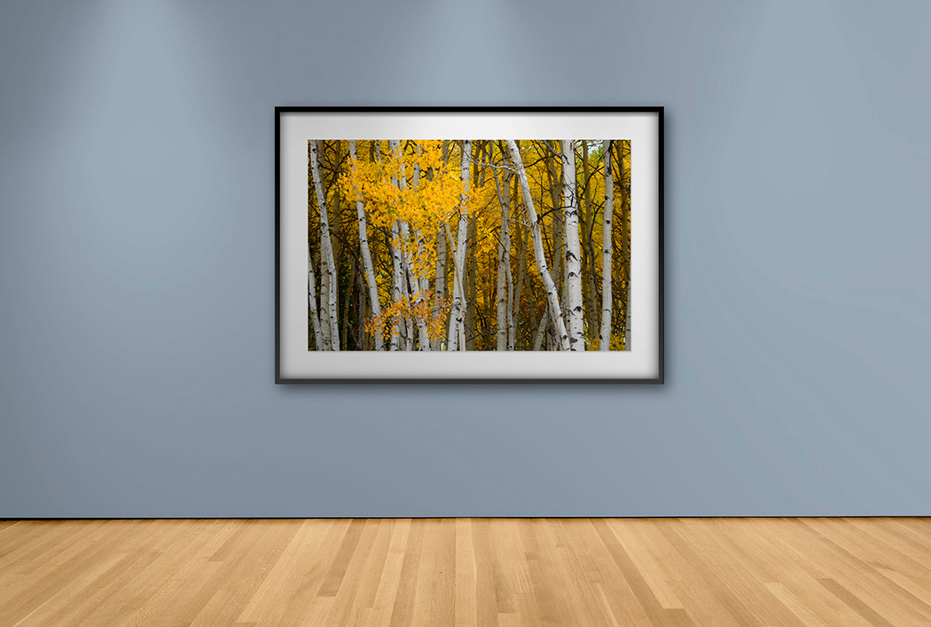 Pieza Decorativa Exclusiva Abedules – Cuadros y Arte | Decora con Arte · imagen 1