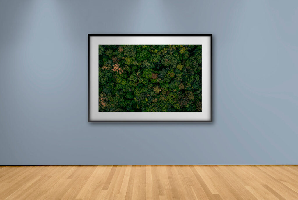 Obra de Arte Mangrove – Cuadros y Arte | Decoración de Alto Impacto