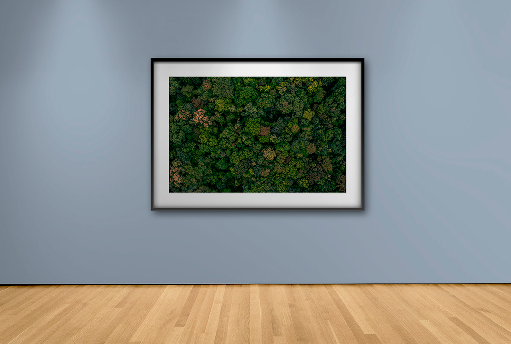 Obra de Arte Mangrove – Cuadros y Arte | Decoración de Alto Impacto