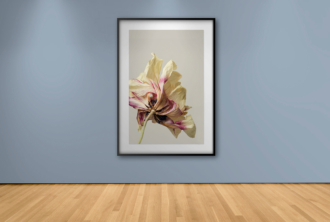 Obra de Arte Morata – Cuadros y Arte | Decoración de Alto Impacto · imagen 1
