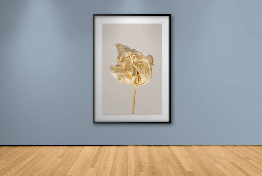 Pieza Decorativa Exclusiva Rembrandt – Cuadros y Arte | Decora con Arte · imagen 1