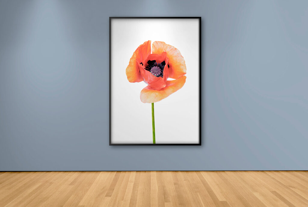 Pieza Decorativa Exclusiva Blossom – Cuadros y Arte | Decora con Arte