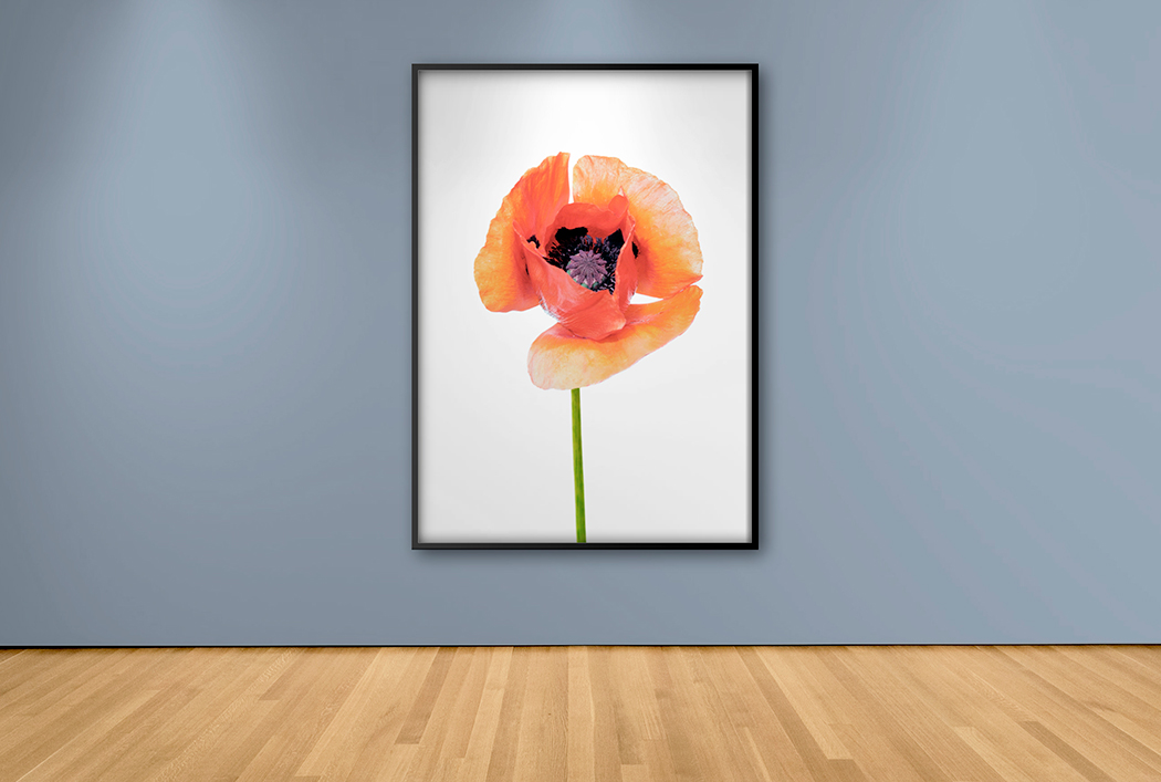 Pieza Decorativa Exclusiva Blossom – Cuadros y Arte | Decora con Arte · imagen 1